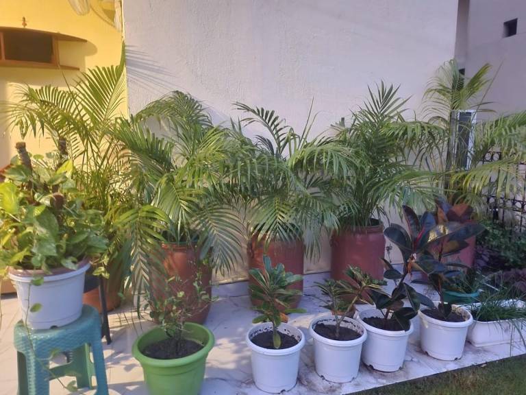 foto48