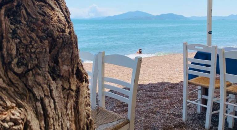 Pleasant house | Close to the beach | Pets are welcome — photo 4