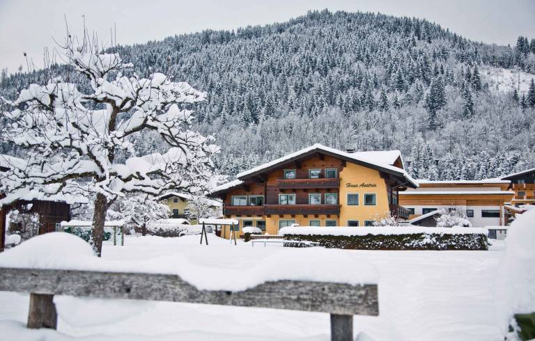 Child-friendly wonderful holiday apartment with pool | Close to the ski | Pet-friendly — photo 3