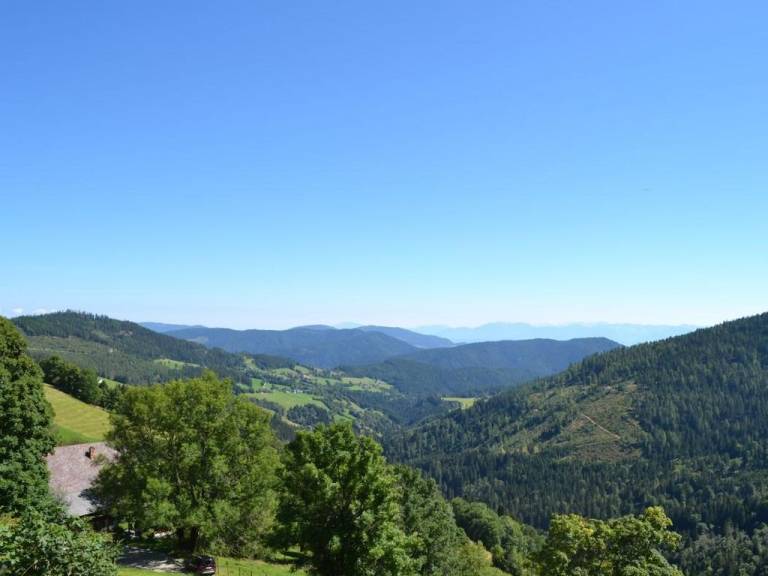 foto2