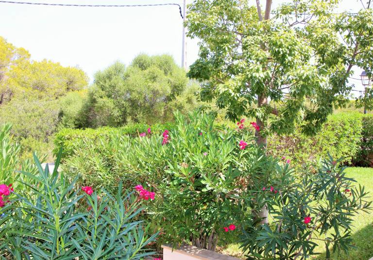 foto41