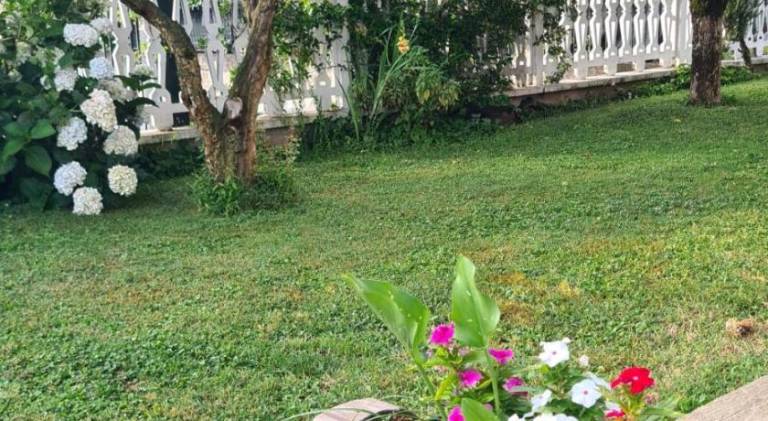 B&B Le Betulle — photo 3