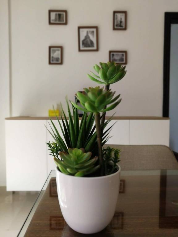 foto36