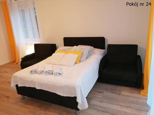 Bed & Breakfast  Elbląg