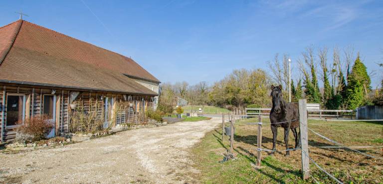 Gite with grill, garden & patio in Troyes