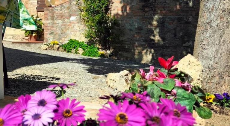 Holiday apartment with 2 rooms for 6 persons in Chiusi