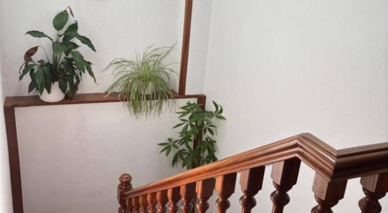 Charming vacation home | Pets are welcome — photo 4