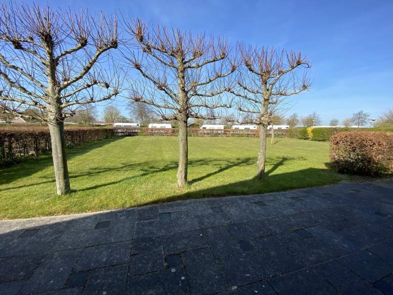 foto17