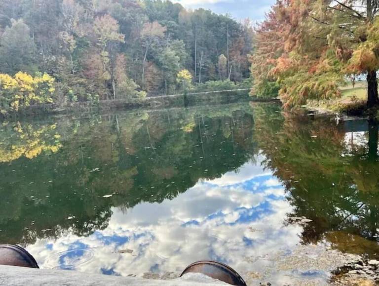 Cabin Guntersville