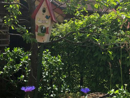 foto9