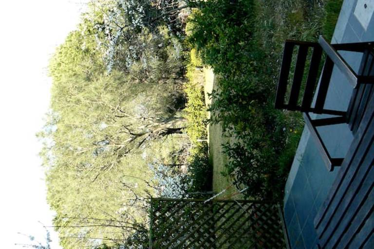 foto33