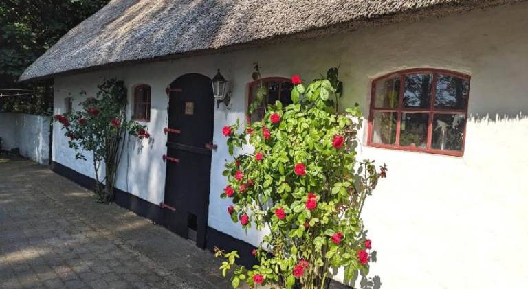 Gemutliches Reetdachhaus mit Kaminofen in Ribe