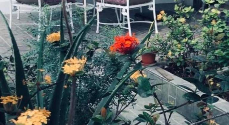 foto14