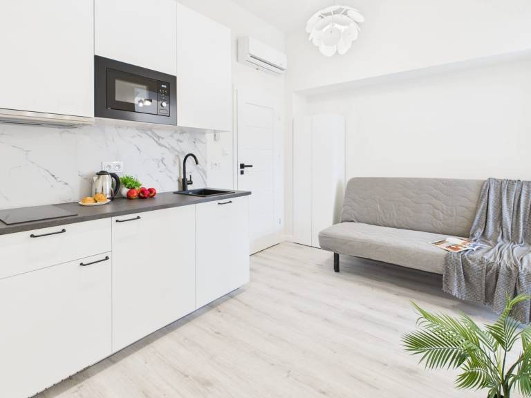 Apartment Powiśle