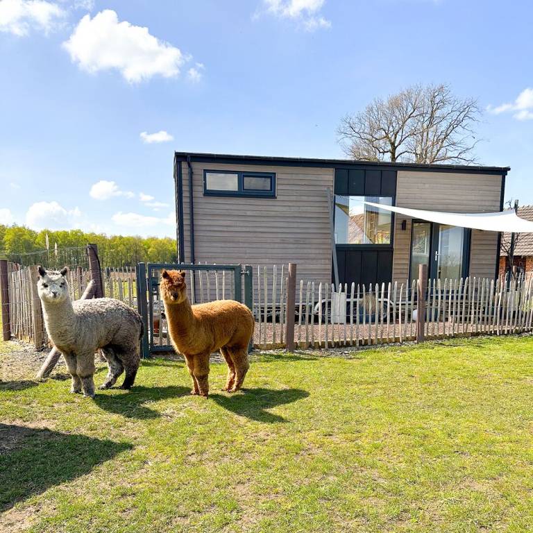 Ferienwohnung Borken