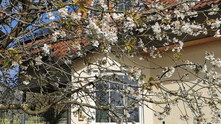 Ferienwohnung Reinhardshausen