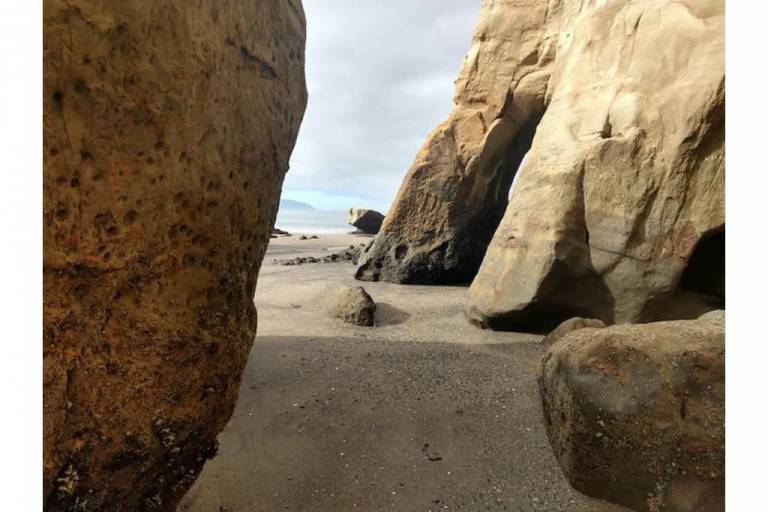 House Pacific City