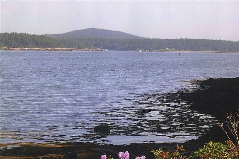 House  Winter Harbor