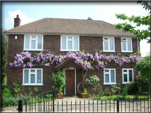 Bed and breakfast  Bromley