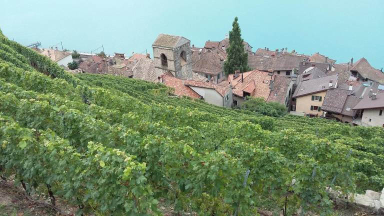 Maison de vacances  Clisson
