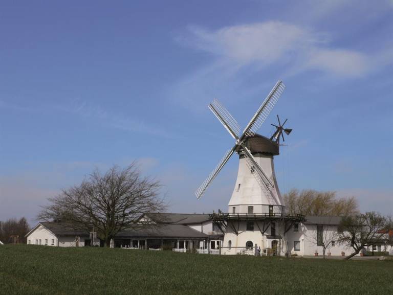 foto23