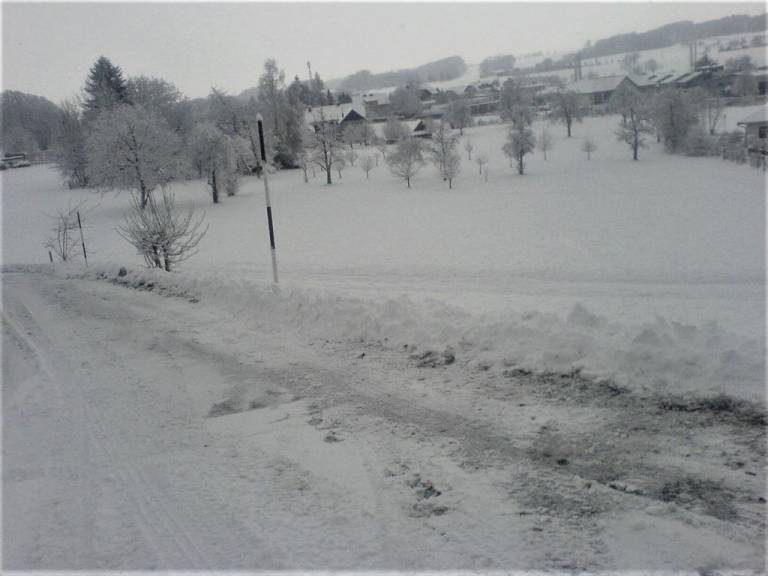 foto42