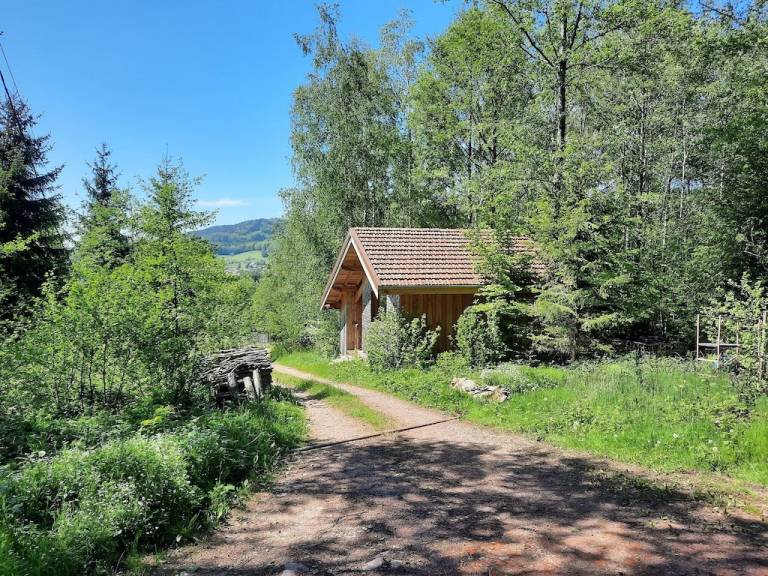 Chalet  La Forge