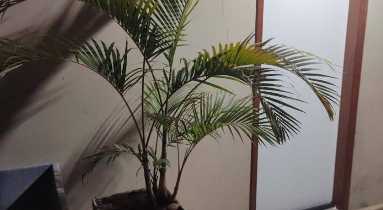 foto5