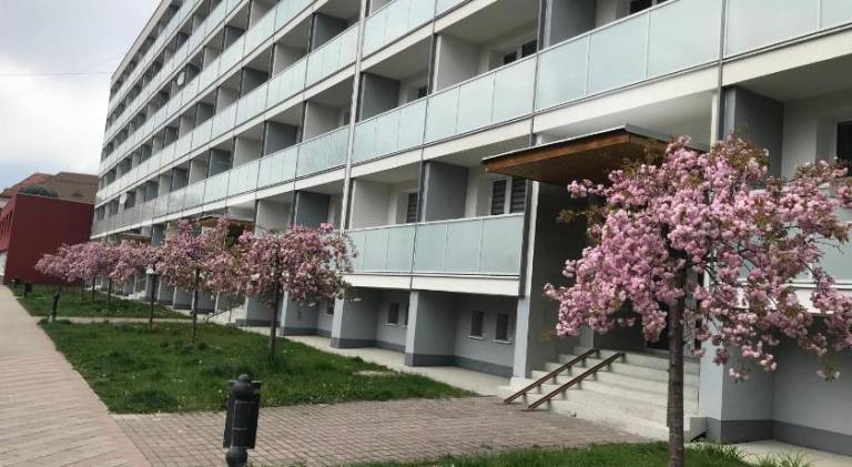 Apartmán Ludrová