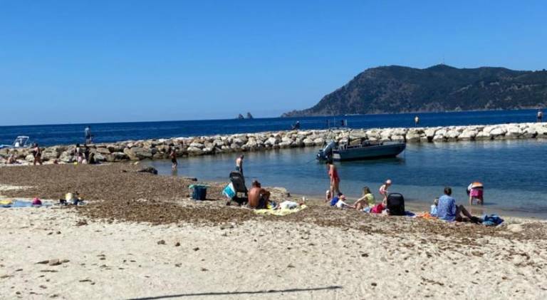 Holiday apartment | Beach nearby | Pets allowed — photo 3