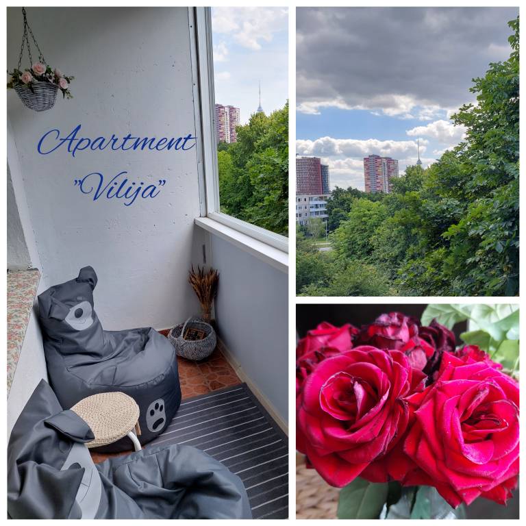 Cozy Apartmet Vilija — photo 4