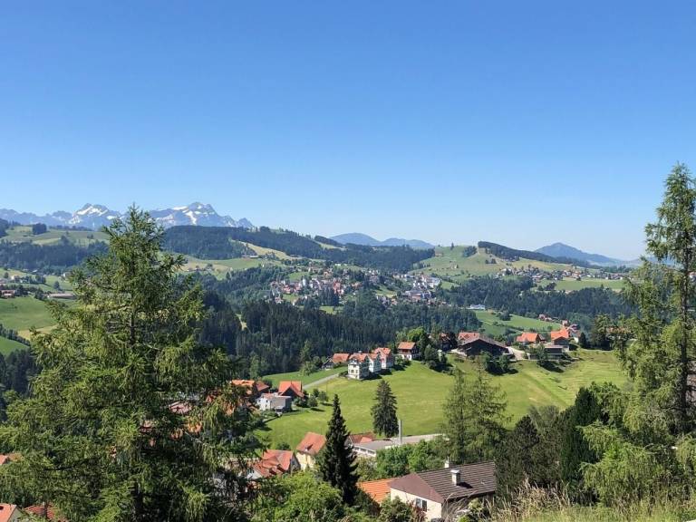 foto1