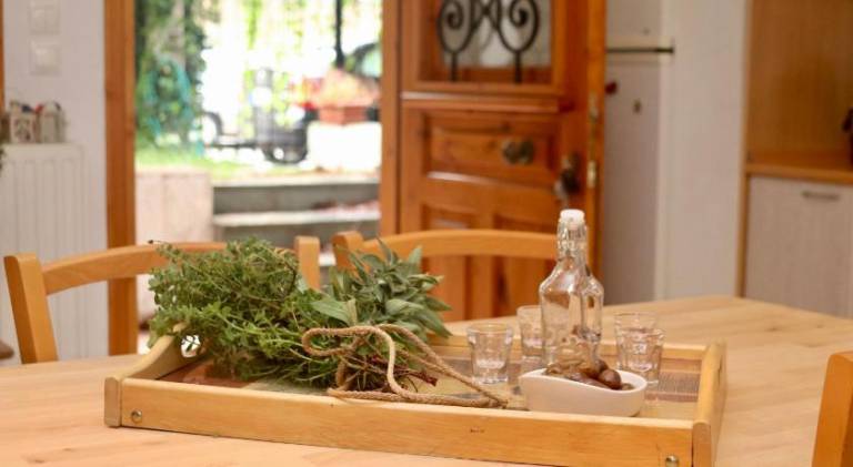 Apartment | Close to the beach | Pet-friendly in Sithonia