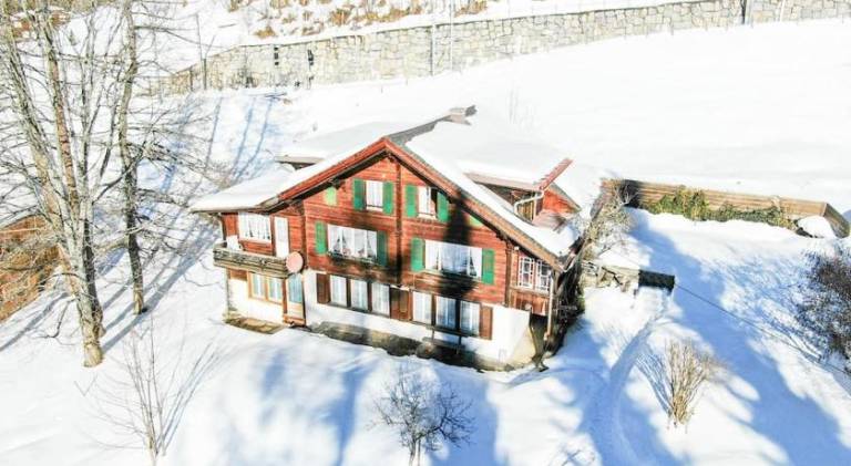Spacious holiday apartment with garden & terrace | Ski nearby | Pets are welcome in Wilderswil