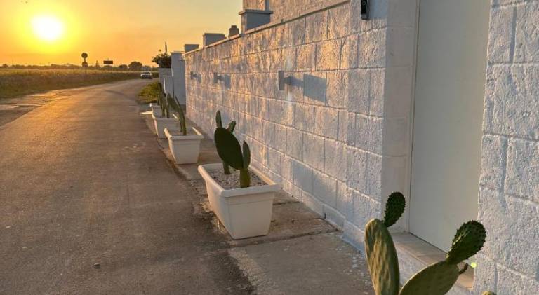 Pleasant house with pool | Next to the beach | Pets are welcome in Monopoli