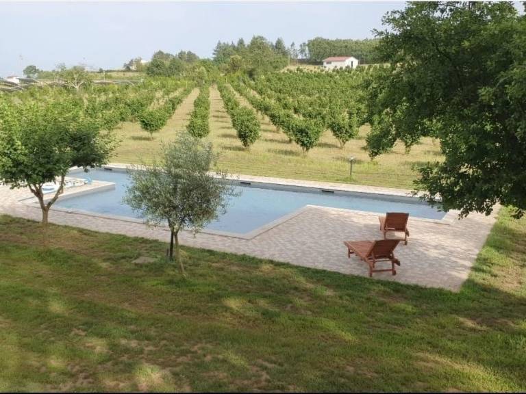 Vacation home with BBQ, yard & private pool — photo 2