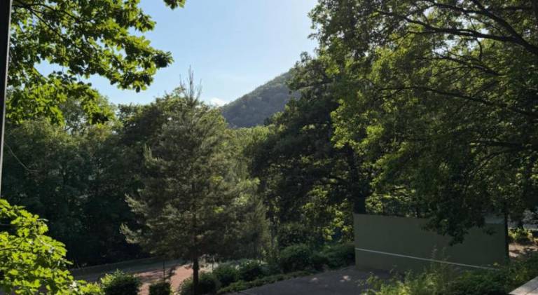foto41