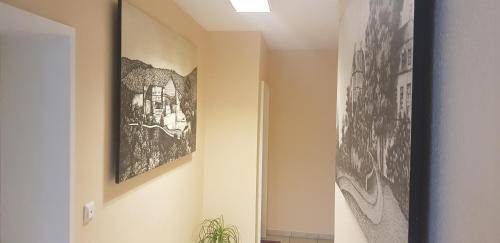 foto5