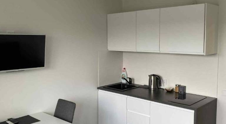 Apartment with 1 room for 2 persons in Vilnius