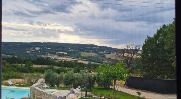 Farm with pool, patio & yard — photo 3