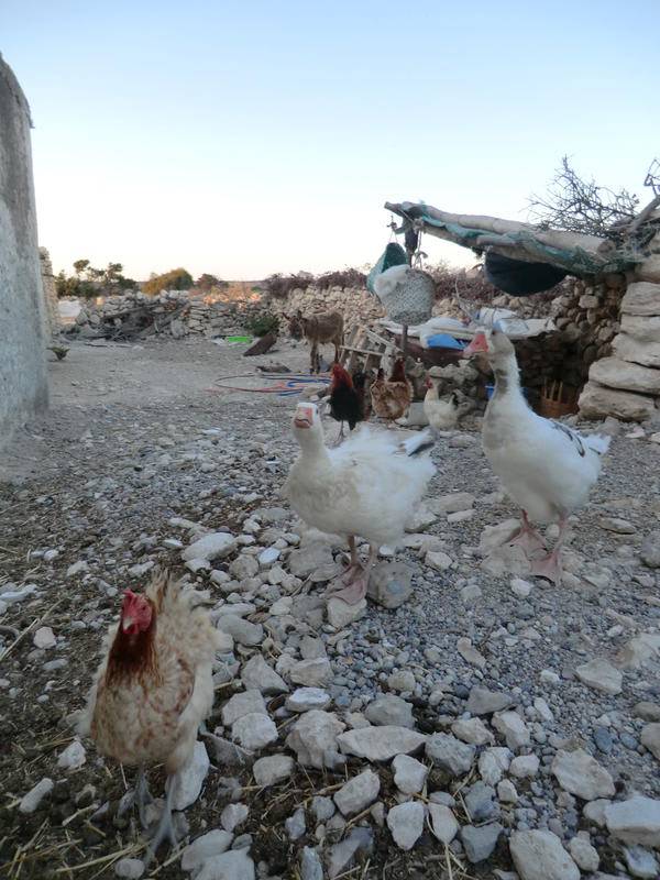 Sidi Kaouki Casa Al Vent — photo 4