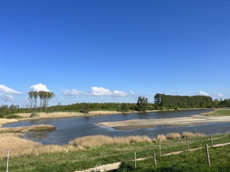 foto17