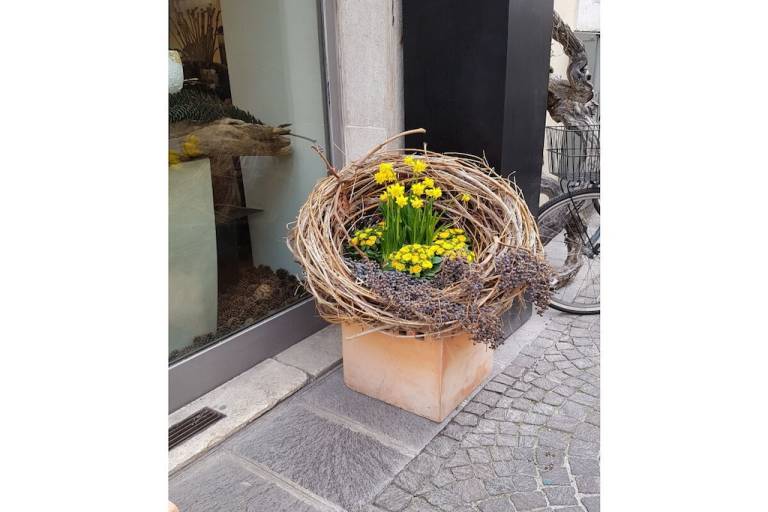foto2
