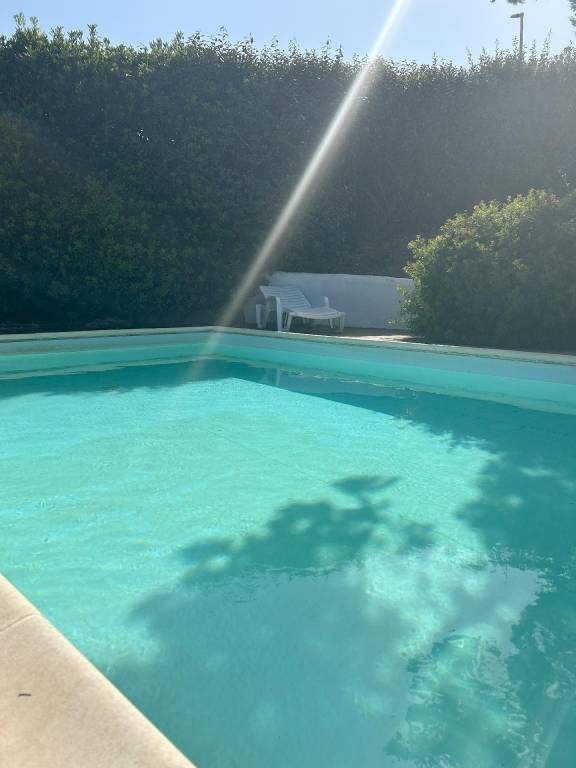 foto42