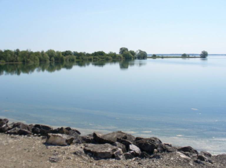 foto11