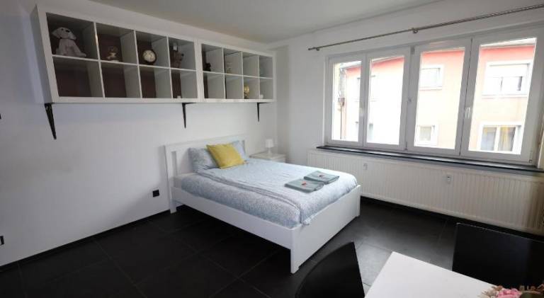 Wonderful rental apartment | Near Notre-Dame Cathedral | Pet-friendly — photo 4