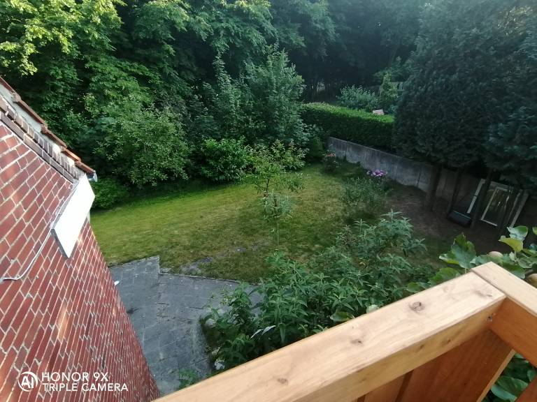 foto5