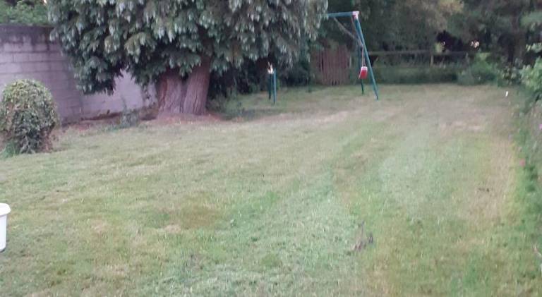 foto41
