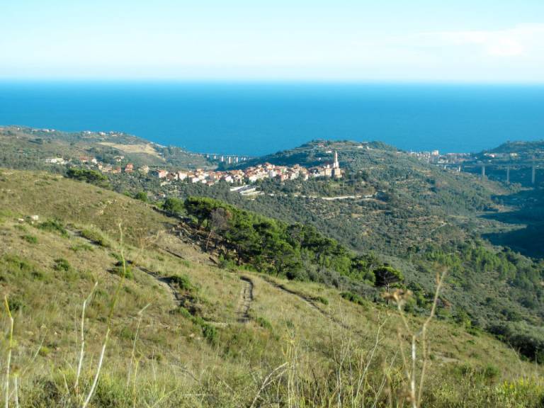 foto44