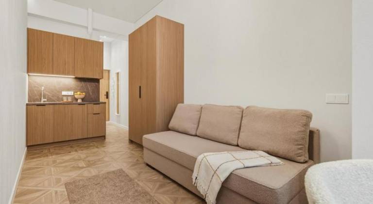 Charming apartment | Near Gate of Dawn | Pets are welcome in Vilnius